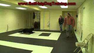 How to Train a Dog to Attack on Command (k9-1.com)