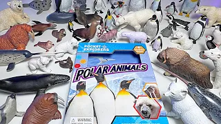 Polar Animals Collection - Polar Bear, Walrus, Seal, Whale, Penguin, Narwhal, Arctic Fox