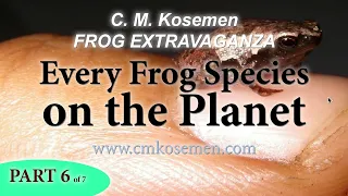 EVERY FROG SPECIES ON THE PLANET! Part 6 of 7 🐸🐸🐸🐸🐸🐸