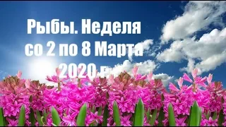 Рыбы. Таро-прогноз на неделю со 2 по 8 Марта 2020 года.