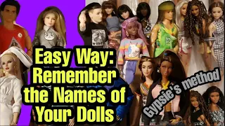 How to remember Doll Names in your collection- Dolling Tips/Hacks/Tricks for new Barbie Collector