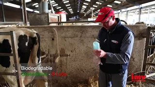 IMV Technologies искусственное осеменение коров