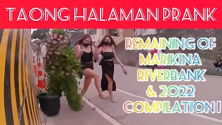 TAONG HALAMAN PRANK: THE REMAINING MARIKINA RIVER BANK & 2022 COMPILATION". 🧨🎄🎊🎉