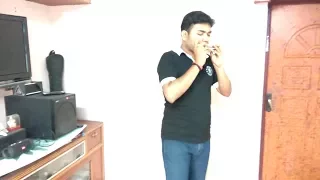 Despacito - Luis Fonsi feat. Daddy Yankee (Harmonica Cover)