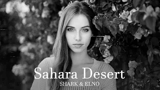 SHARK & ELNO - Sahara Desert