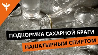 Подкормка сахарной браги нашатырным спиртом (аммиаком). Неоднозначный результат