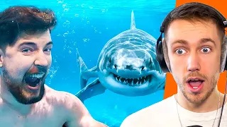 Miniminter Reacts To MrBeast Swimming With Sharks For $100,000?