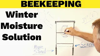Beekeeping | Moisture In Your Hive This Winter Is Bad!