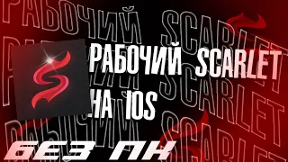 КАК СКАЧАТЬ SCARLET В 2023 ГОДУ?! ОТВЕТ ЗДЕСЬ