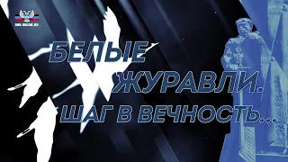 Белые журавли. Шаг в вечность