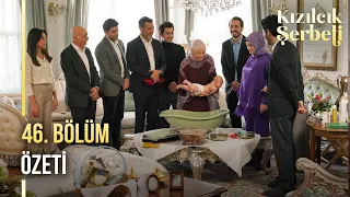 Kızılcık Şerbeti 46. Bölüm Özeti