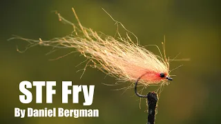 STF Fry by Daniel Bergman