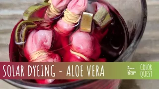 HOW TO SOLAR DYE WITH ALOE VERA | ORGANIC COLOR | PINK PEACH | SHIBORI KUMO TIE DYE | BAJA MEXICO