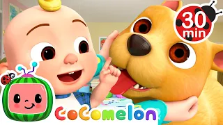 This is the Way Taking Care of BINGO 🐶| Animals For Kids | CoComelon Kids Songs & Nursery Rhymes