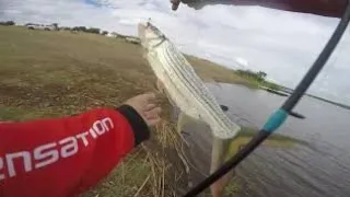 "BAIT VS LURES" Tiger Fishing Gone Wild at Jozini Dam