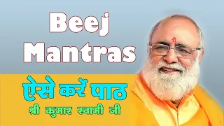 Beej Mantra Path Kaise Kare | ऐसे करें पाठ | श्री कुमार स्वामी जी | sahi tarika kya hai