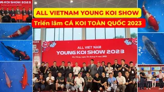 TRIỂN LÃM CÁ KOI TRẺ TOÀN QUỐC 2023 tại ĐÀ NẴNG | ALL VIETNAM YOUNG KOI SHOW 2023