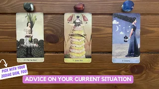 Advice on Your Current Situation | Timeless Reading