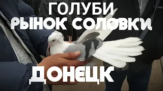 Рынок Соловки Донецк(Обзор Голубей)Solovki market Donetsk city, pigeons