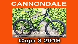 Cannondale Cujo 3 2019 27.5+ - это нужно видеть- экспресс-обзор от Веломоды