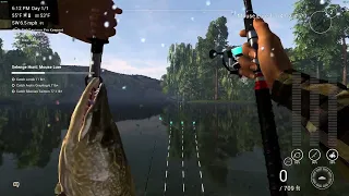 Fishing Planet Mongolia How to Catch Unique Northern Pike Selenge River