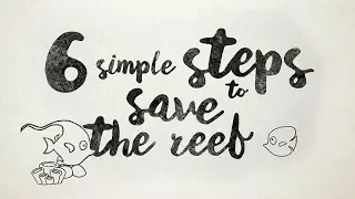 6 Simple Steps to Save the Reef | Protect the Great Barrier Reef!