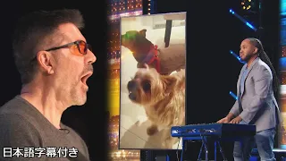 【和訳】ケヴォンの演奏で、ついにサイモンのイヌが歌う！？ | BGT 2024