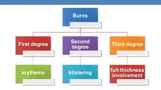 2023 ICD  10 CM coding guidelines for chapter 19   Part 2