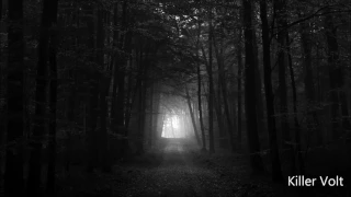 Dark forest/goa/twilight mix  2017 (killer volt)