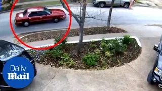 Dallas construction workers jump on car to catch thief - Daily Mail