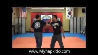 Hapkido wrist locks