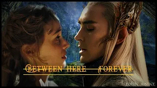 Between Here and Forever Special | Thranduil x OC