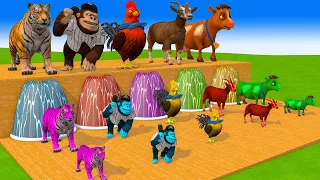 5 Giant Duck, Monkey,Piglet, Cow, Elephant, Tiger, Dinasaur Transfiguration funny animal 2024