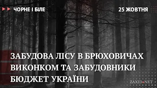 Забудова лісу в Брюховичах, виконком та забудовники, бюджет України | Чорне і Біле за 25 жовтня