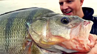 Barsch und Zander Eskalation im Fluss! Wir rasten aus!