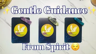 Gentle Guidance From Spirit To You🩷🥰Pick a Card Tarot Reading🔮✨
