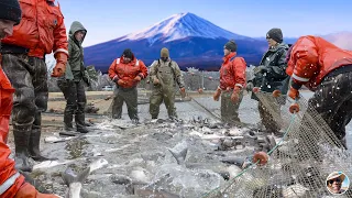 Amazing Salmon Farming Process - Salmon Roe Harvesting Technology