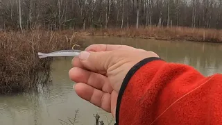 crappie can't resist this bait