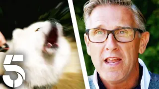 Dogs Who Have A Thirst For Blood! | Dogs Behaving (Very) Badly | Channel 5