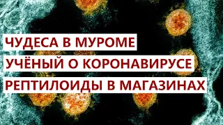 ЧУДЕСА В МУРОМЕ И КОРОНАВИРУС В ЦЕРКВИ. Сколько умерло священников в РПЦ? / Невзоров (23.12.2020)