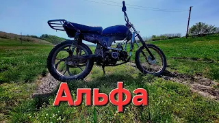 Альфа обзор