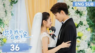 ENG SUB《你是我的命中注定 You Are My Destiny》EP36 大结局——主演：邢昭林、梁洁 | 腾讯视频-青春剧场