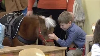 Miniature Service Horse Helps a Second Grader with Rare Genetic Disorder