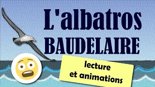L'albatros - poème de Charles Baudelaire - Lecture