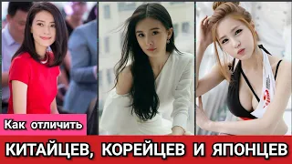 Как отличить Китайцев, Японцев и Корейцев?