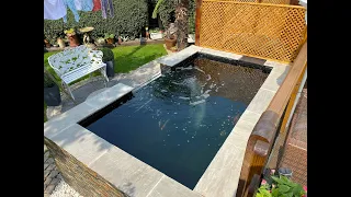 1500 Gallon Pond build - Chat with the owners!