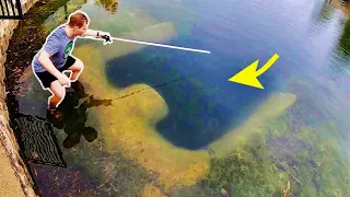 WE FOUND INSANE FISH in CRYSTAL CLEAR URBAN POND!!