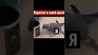 Коротко о моей шизе🤡 |Тик ток приколы |Тик Ток Tik Tok #shorts