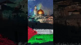 Palestine Status Video - Masjid Al Aqsa - Palestine  #palestine #viral #trending