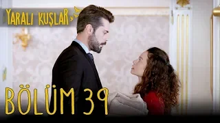 Yaralı Kuşlar 39. Bölüm